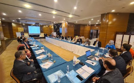 A discussion table to assess the reality of legislation and regulatory frameworks for the media in Iraq